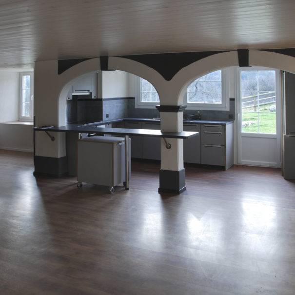 Renovation appartement Lausanne Vaud 1