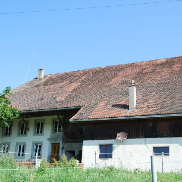 Renovation ferme vaudoise Lausanne 6